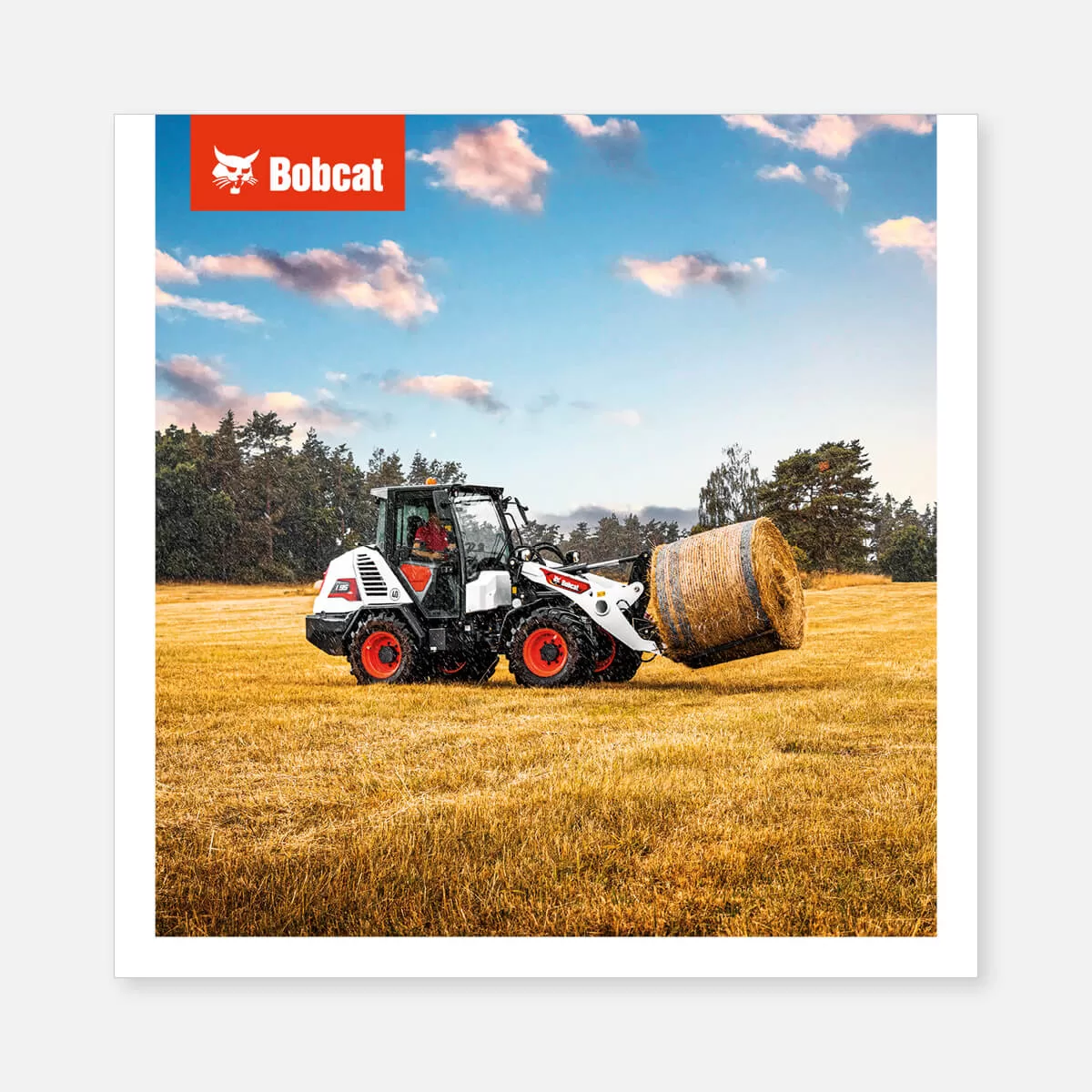 Product poster on canvas – L95 CWL transporting a hay bale on a field