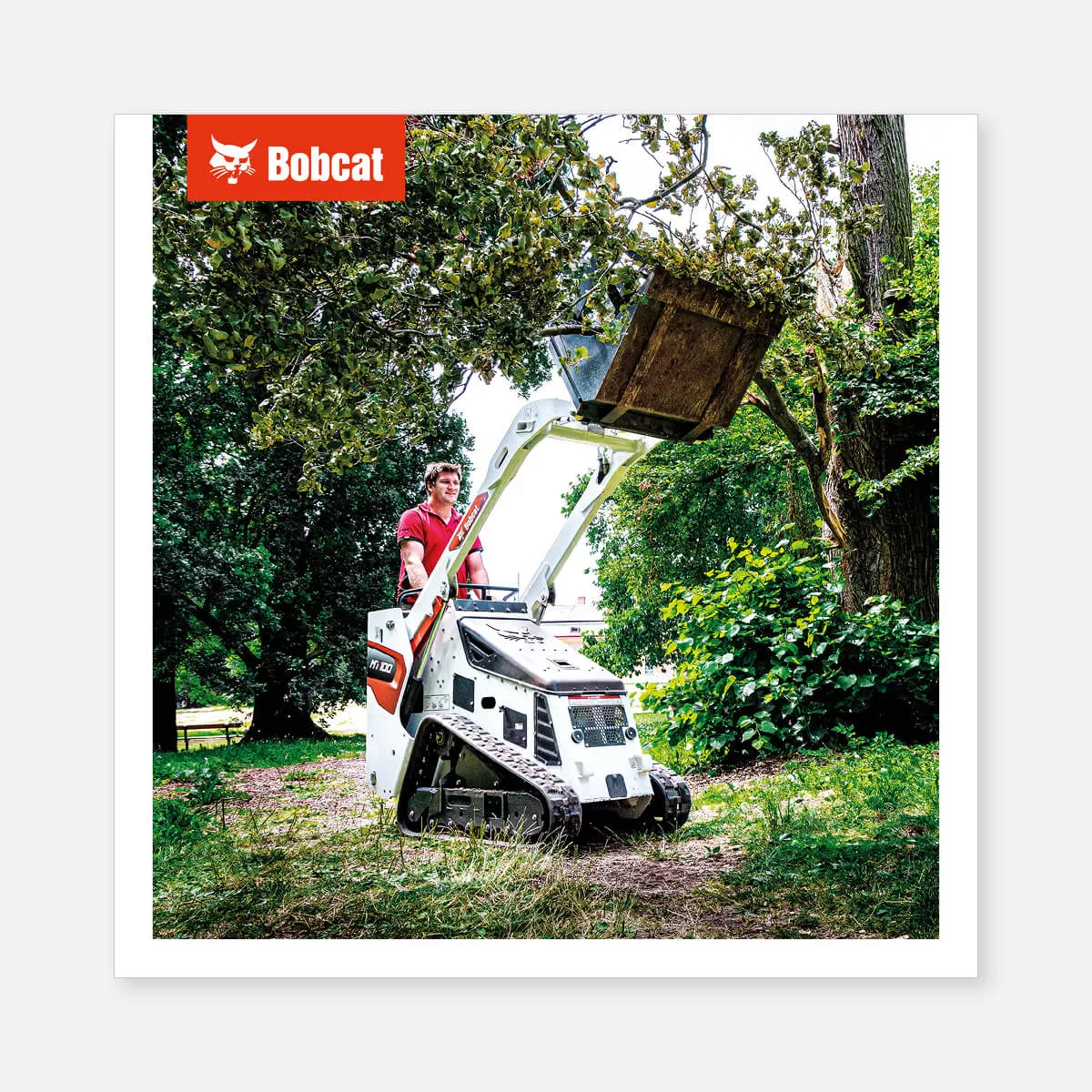Product poster on canvas – MT00 in action at the park