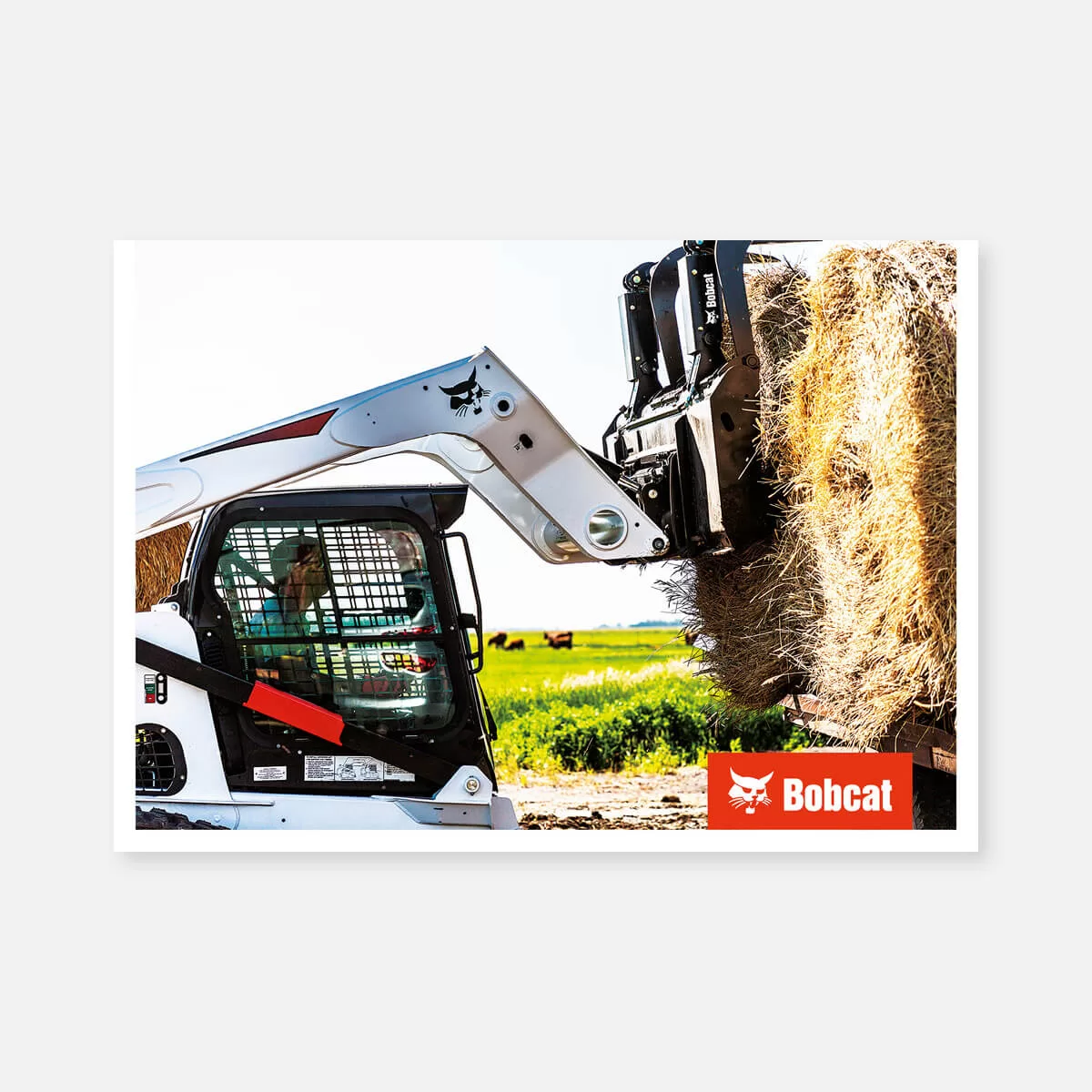 Product poster (PVC) – T870 with industrial grapple