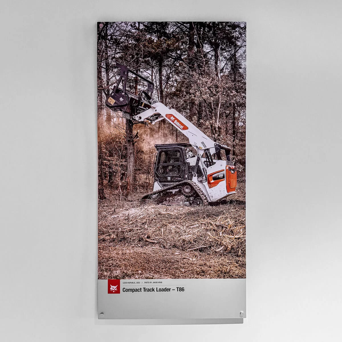 Aluminium poster – T86 in the forest